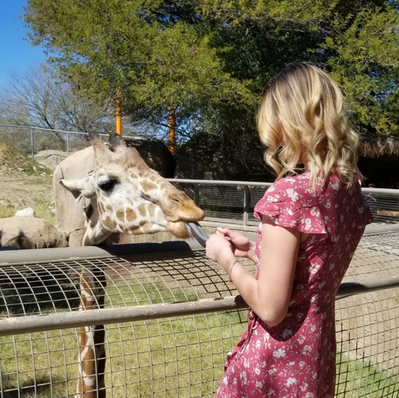 Meet your Posher, Cassandra - Picture 1 of 1